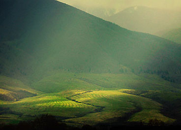 手机号网页在线轰炸源码