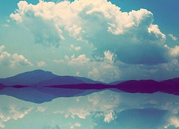 电话轰在线网页版入口